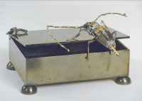 K&auml;ferdose, Stahl und Messing, 30 x 10 x 20 cm